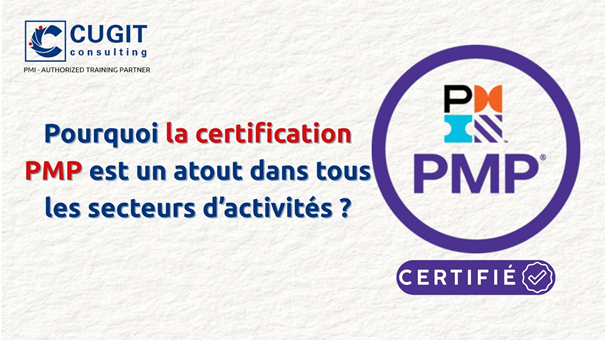 PMP et secteur d'activité